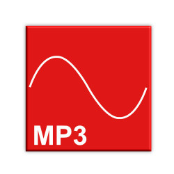 x1Analyzer Testsignale "Extern - MP3"